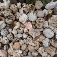 5 lbs Premium Kentucky Uncut Geodes Agates Nodules Lapidary Quartz Crystals Sale