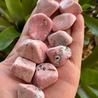 1/2 Lb Lot Tumbled Stones, 0.75-1.25" Crystal Healing Stones, Choose Stone Type