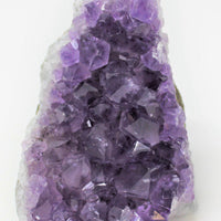 Stunning LARGE Amethyst Cut Base Cluster, Crystal Quartz Geode 8 - 11 oz