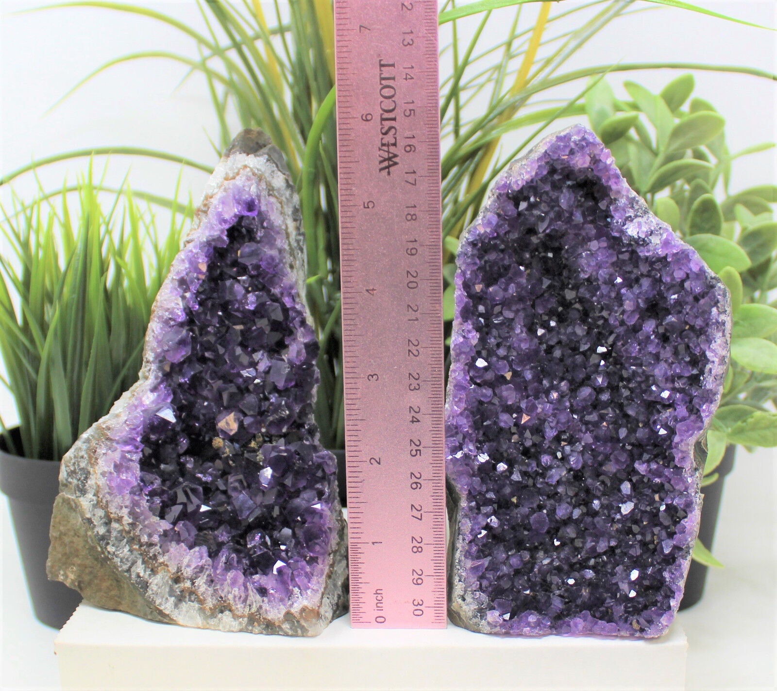 Stunning HUGE Amethyst Cut Base Cluster Crystal Quartz Geode 2 lb - 3 lb