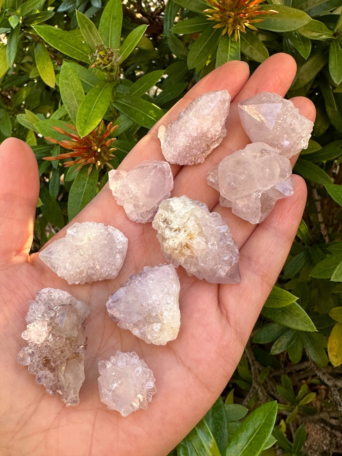 Spirit Quartz Clusters Crystal Collection Box: 6 - 7 oz Box Lot, 11 - 14 Pieces