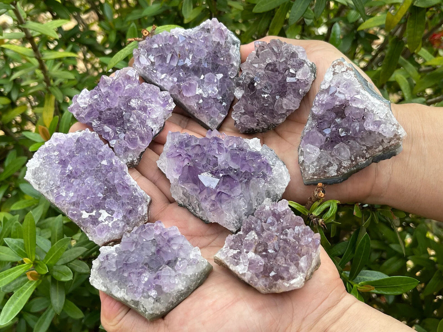 Grade A Amethyst Cluster, Amethyst Geode, Raw Amethyst Druze, Pick a Size