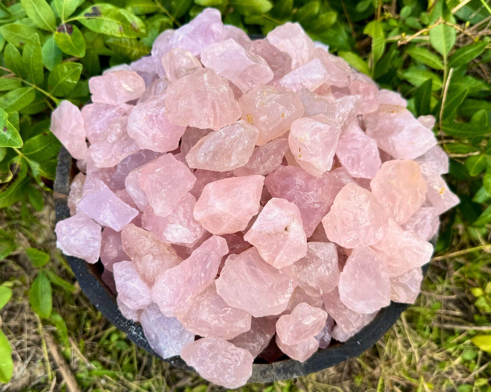 1/2 lb Bulk Lot Natural Rough Rose Quartz Crystals (Raw Reiki Love Healing 8 oz)