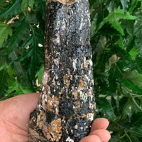 Extra Large Black Tourmaline Chunk / Rod / Log, Natural Rough Black Tourmaline