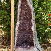 X-Large Amethyst Cathedral, Amethyst Geode,Raw Amethyst Cluster, Pick a Weight