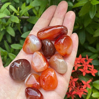 1/2 Lb Lot Tumbled Stones, 0.75-1.25" Crystal Healing Stones, Choose Stone Type