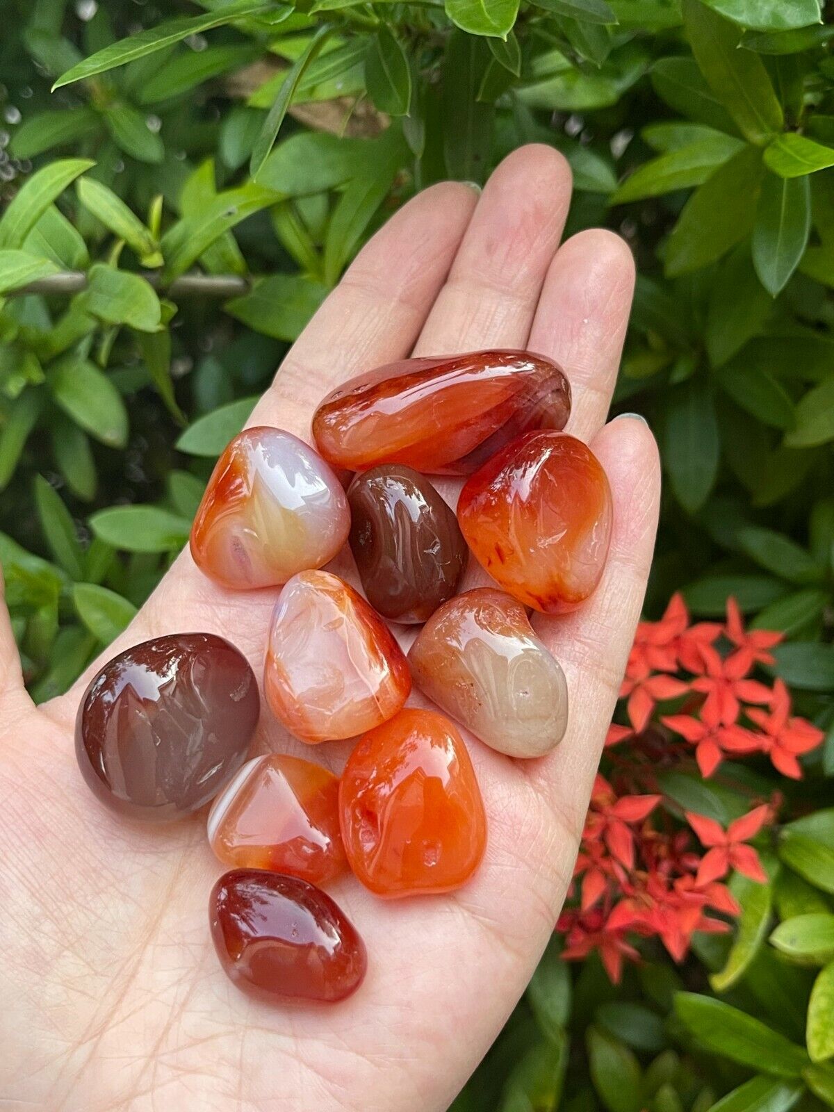 1/2 Lb Lot Tumbled Stones, 0.75-1.25" Crystal Healing Stones, Choose Stone Type