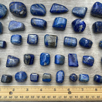 Grade A++ Lapis Lazuli Tumbled Stone, 0.65-1.5 Inch Lapis Crystal,Wholesale Bulk