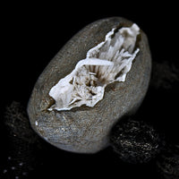 115g Scolecite Geode Natural Radiating Crystal Mineral India