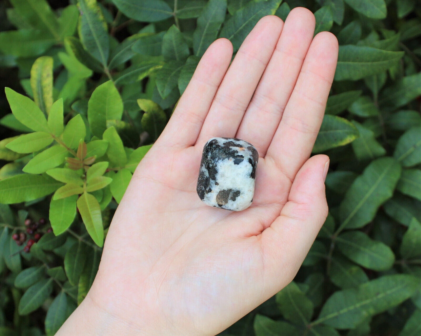 1 x Tumbled Stones : You Choose Type - Huge Range - ON SALE! (Crystal Healing)