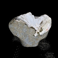 Scolecite Geode 176g Natural Radiating Needle Crystal Healing Stone India