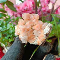 Natural Stilbite & Heulandite Healing Crystal Mineral Energy Stone 100g