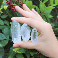 Clear Quartz Crystal Points 1/2 lb Bulk Lot Natural Mineral Wand Specimen (8 oz)