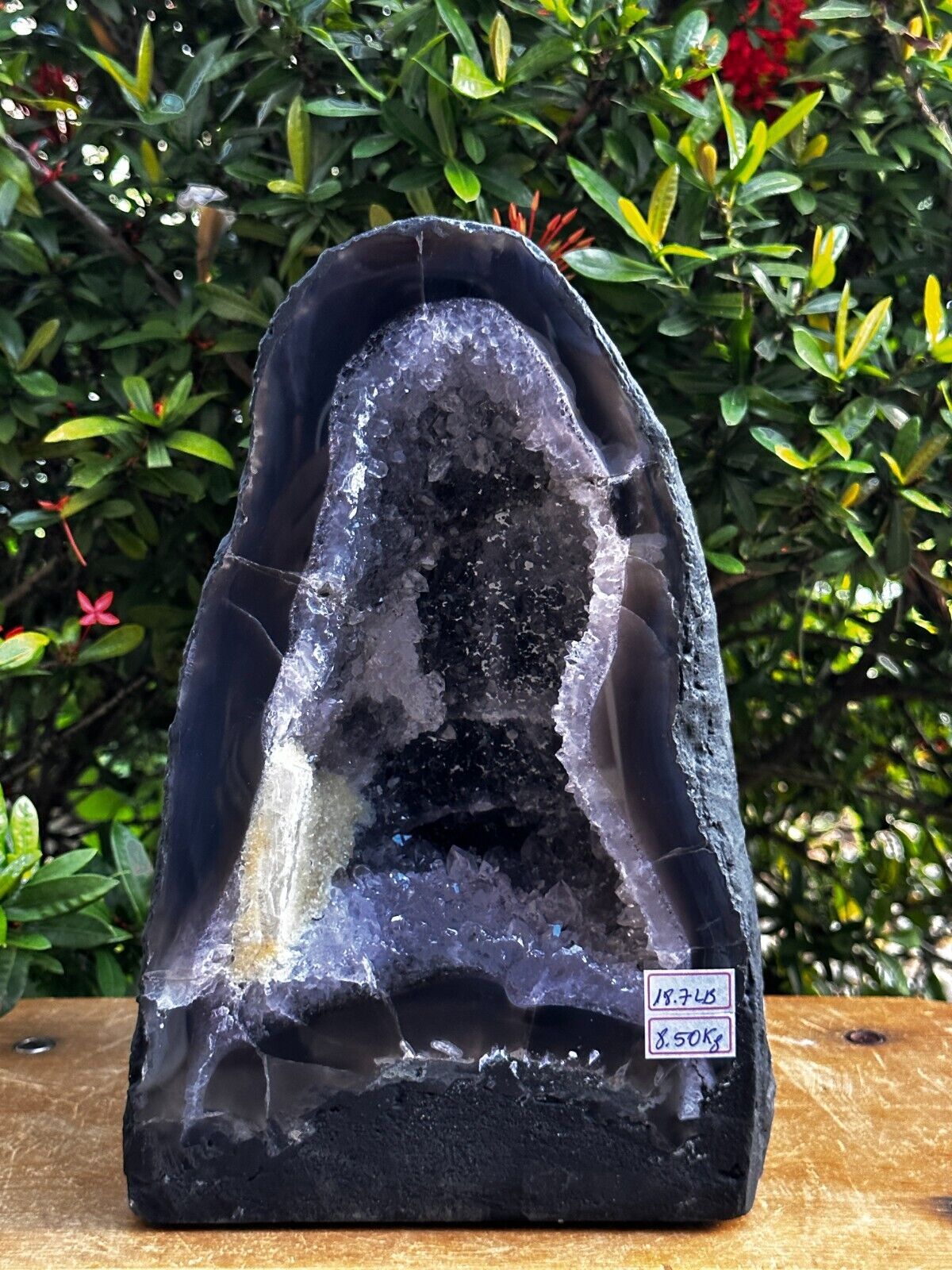 X-Large Light Purple/Gray Amethyst Cathedral, Raw Amethyst Geode, Pick a Weight