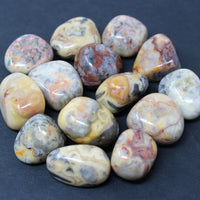 8 oz or 1 lb Tumbled Stones Bulk Lots: Huge Choice (Crystal Healing, Bulk Lots)