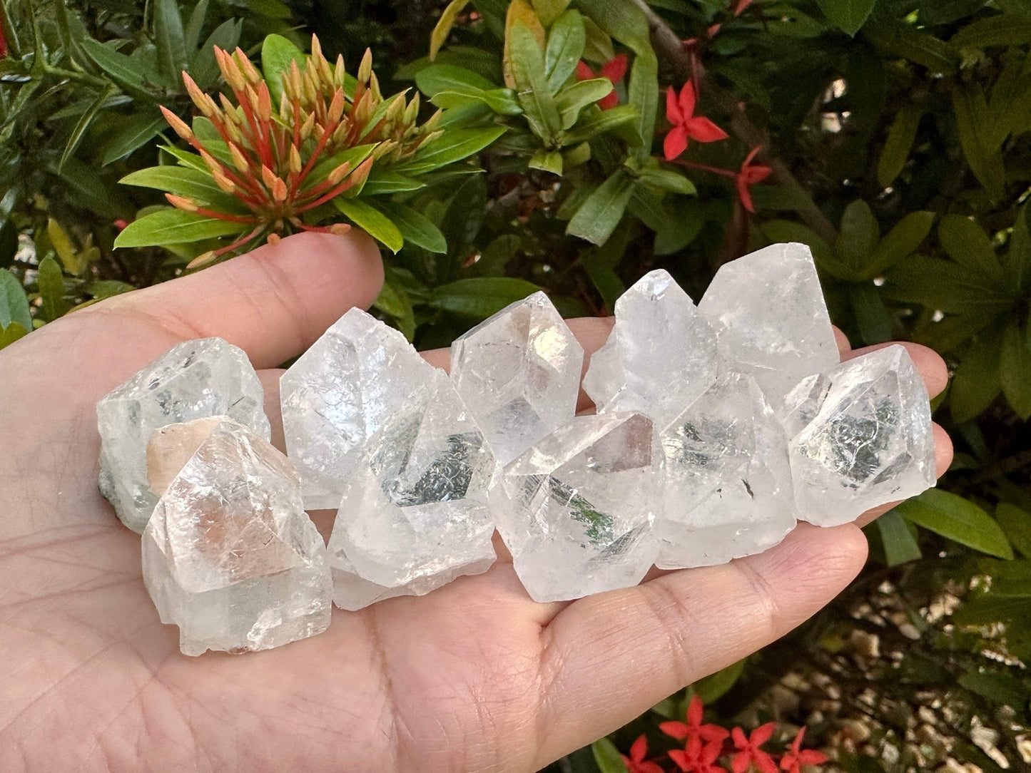 Large Apophyllite Tips & Points – Natural Apophyllite Pyramids Small - large (3g - 90g)