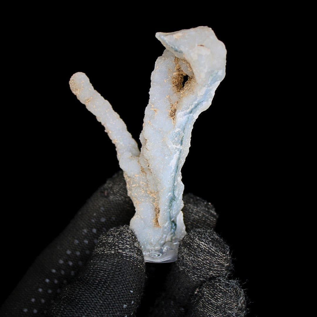 Natural Coral Mineral Cluster 30g Rare Fossil Specimen Collector Piece