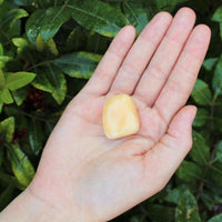 1 x Tumbled Stones : You Choose Type - Huge Range - ON SALE! (Crystal Healing)