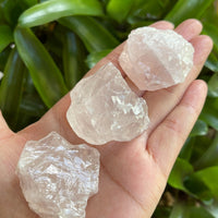 Rose Quartz Rough Natural Stones, 1.25-2" Raw Rose Quartz, Wholesales Bulk Lot