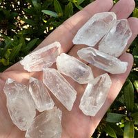 0.75" - 1.5" Small Rough Clear Quartz Point, Raw Healing Crystals, Wholesale Lot
