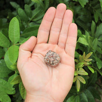 1 x Tumbled Stones : You Choose Type - Huge Range - ON SALE! (Crystal Healing)