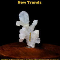 Rare Apophyllite Cluster Matrix 7cm 165g Shiny Luster Mineral Specimen from Indi