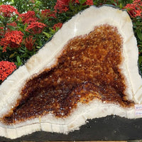 X-Large Citrine Cathedral, Citrine Geode, Honey Citrine Cluster, Pick a Weight