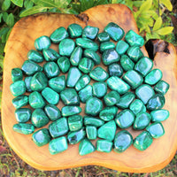 5 MEDIUM Malachite Tumbled Stone (Crystal Healing Reiki Gemstone Metaphysical)