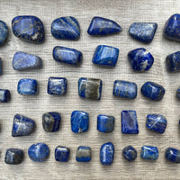 Grade A++ Lapis Lazuli Tumbled Stone, 0.65-1.5 Inch Lapis Crystal,Wholesale Bulk