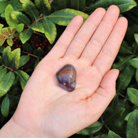 1 x Tumbled Stones : You Choose Type - Huge Range - ON SALE! (Crystal Healing)