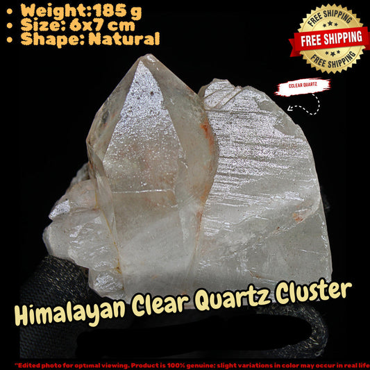 Rare Himalayan Clear Quartz Crystal Cluster Mineral Specimen India 185g