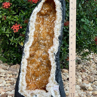 X-Large Citrine Cathedral, Citrine Geode, Honey Citrine Cluster, Pick a Weight