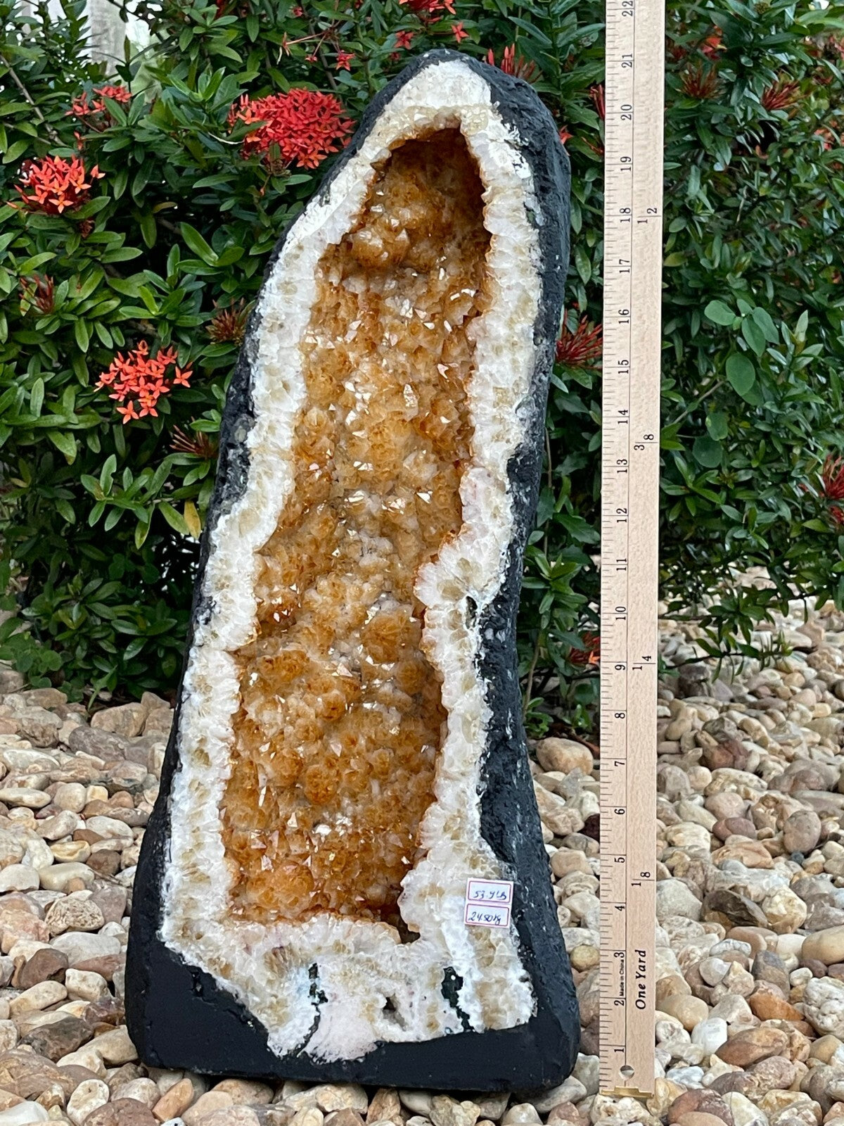 X-Large Citrine Cathedral, Citrine Geode, Honey Citrine Cluster, Pick a Weight