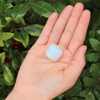 1 x Tumbled Stones : You Choose Type - Huge Range - ON SALE! (Crystal Healing)