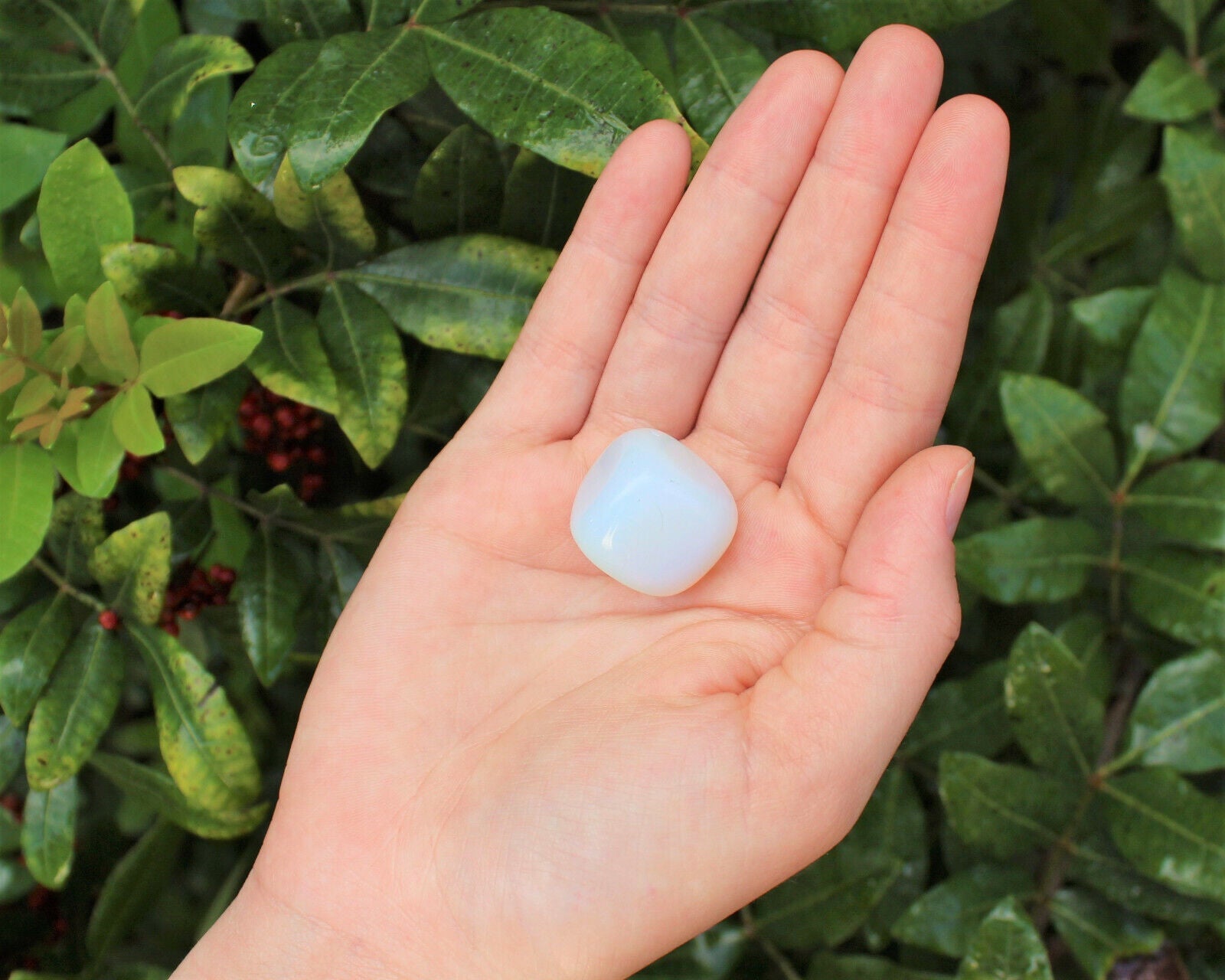 1 x Tumbled Stones : You Choose Type - Huge Range - ON SALE! (Crystal Healing)