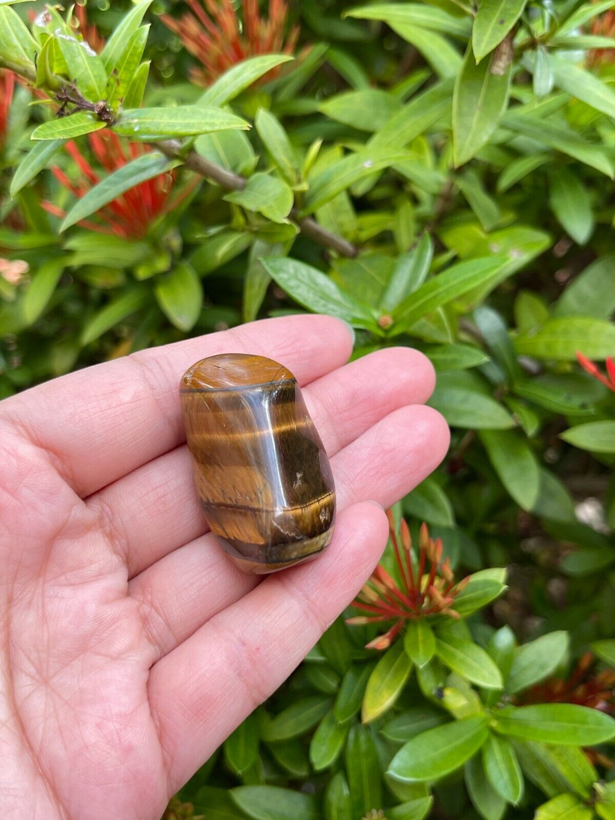 Grade A++ Gold Tiger Eye Tumbled Stones, 1"-1.5" Tumbled Tiger Eye,Pick How Many