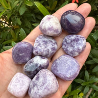 1/2 Lb Lot Tumbled Stones, 0.75-1.25" Crystal Healing Stones, Choose Stone Type