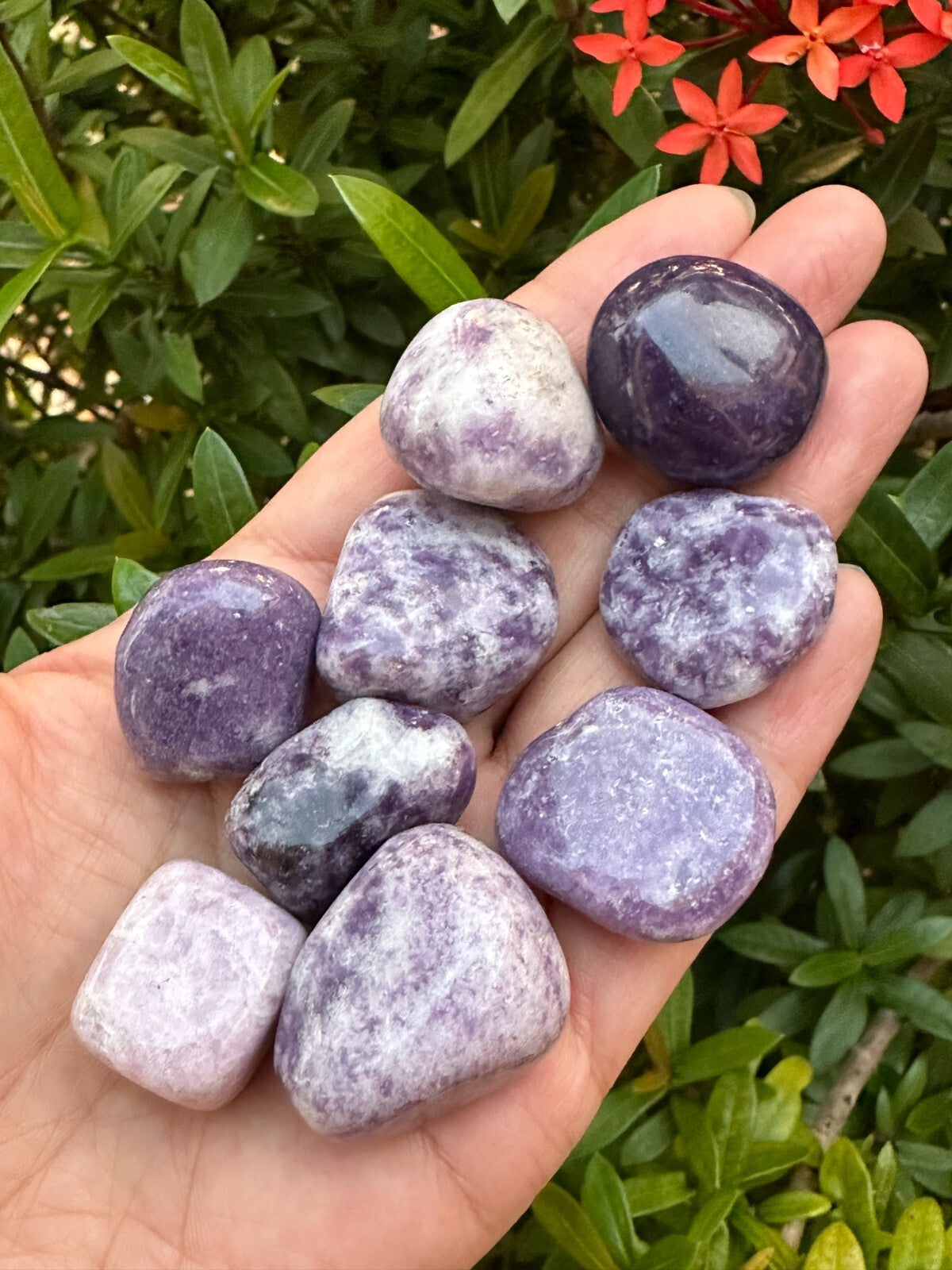 1/2 Lb Lot Tumbled Stones, 0.75-1.25" Crystal Healing Stones, Choose Stone Type