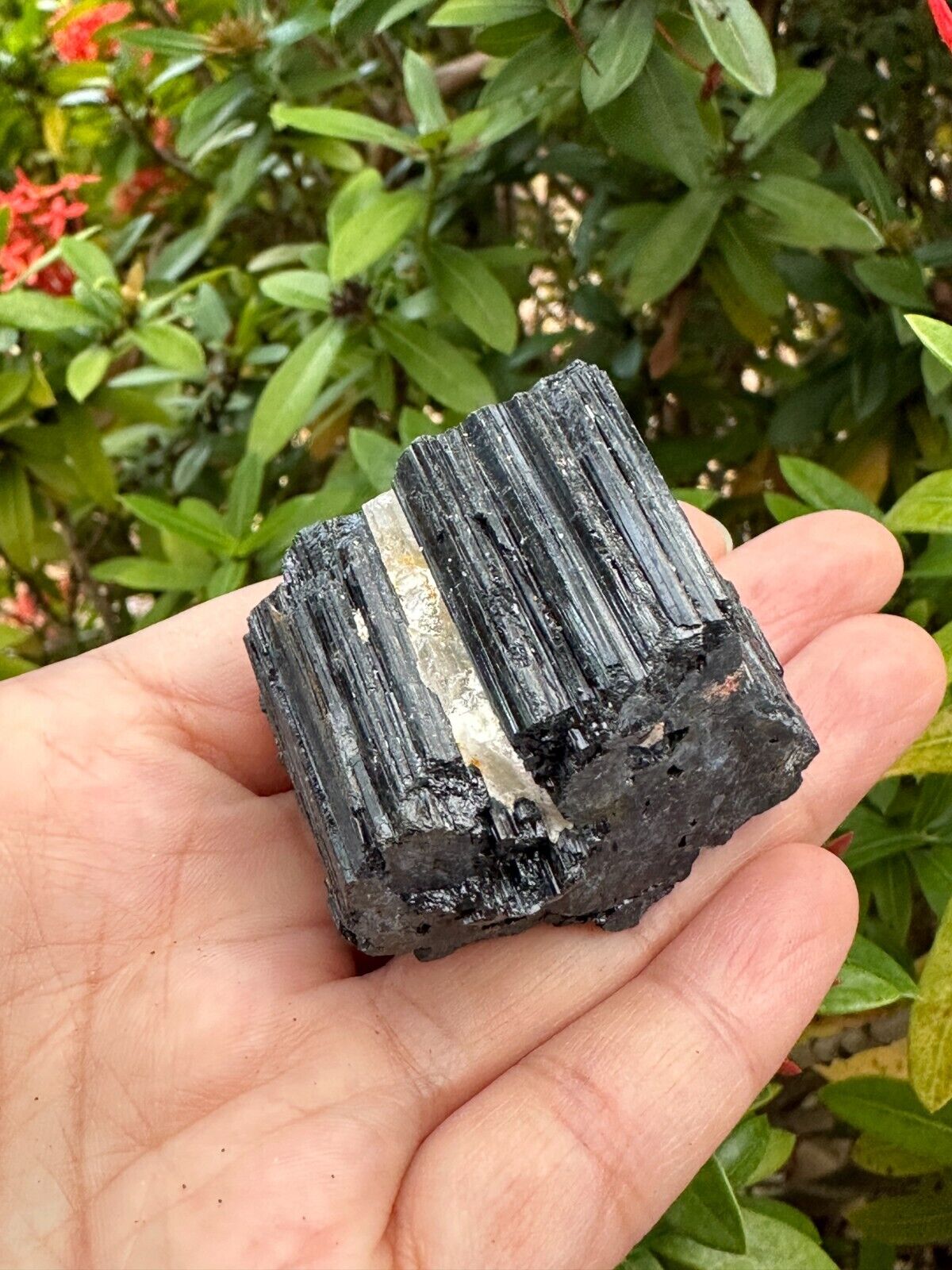 5 pcs Set Shiny Black Tourmaline Log, Grade A++ Natural Black Tourmaline Rod
