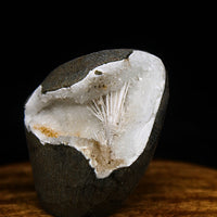 Natural Scolecite Spray Geode – 135g – Zeolite Crystal from India 🇮🇳