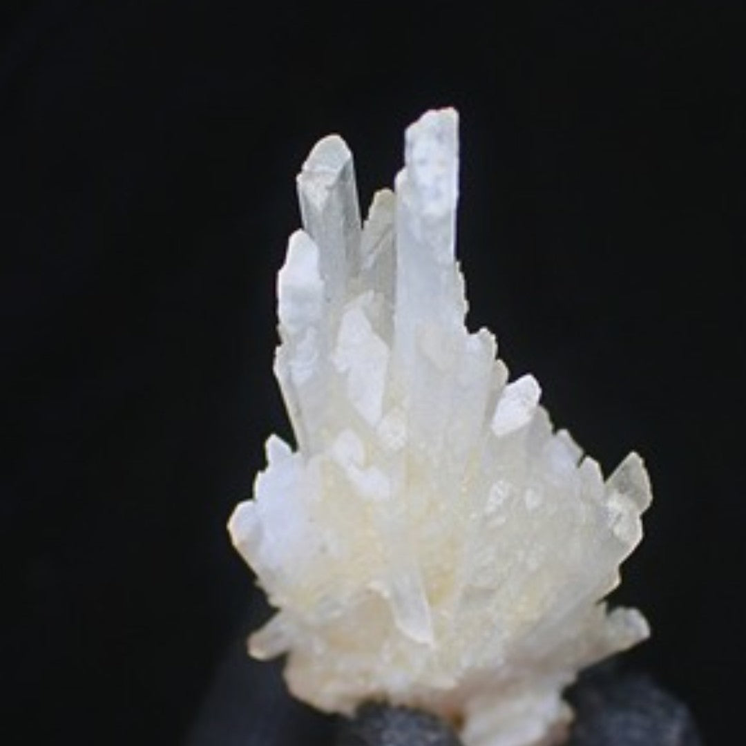 Natural Scolecite Cluster 92g White Zeolite Crystal Mineral from India