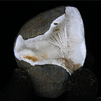 Natural Scolecite Spray Geode – 135g – Zeolite Crystal from India 🇮🇳