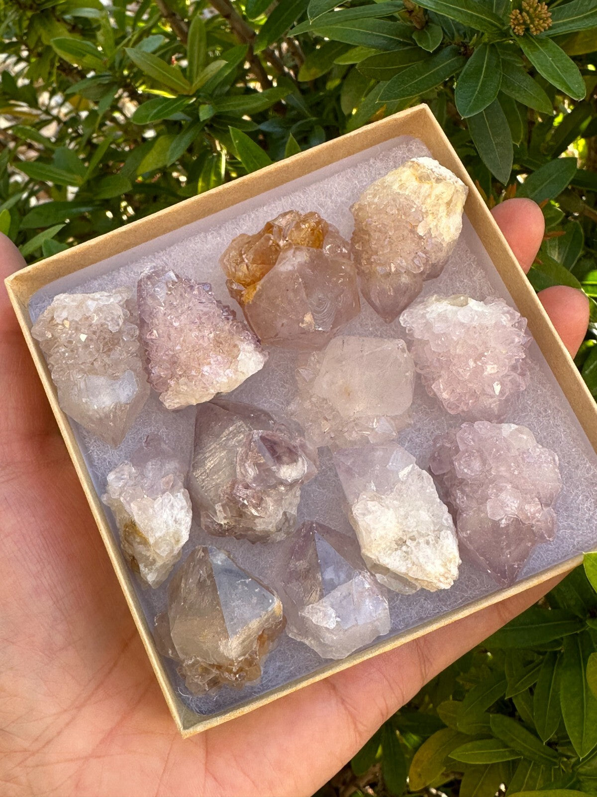 Spirit Quartz Clusters Crystal Collection Box: 6 - 7 oz Box Lot, 11 - 14 Pieces