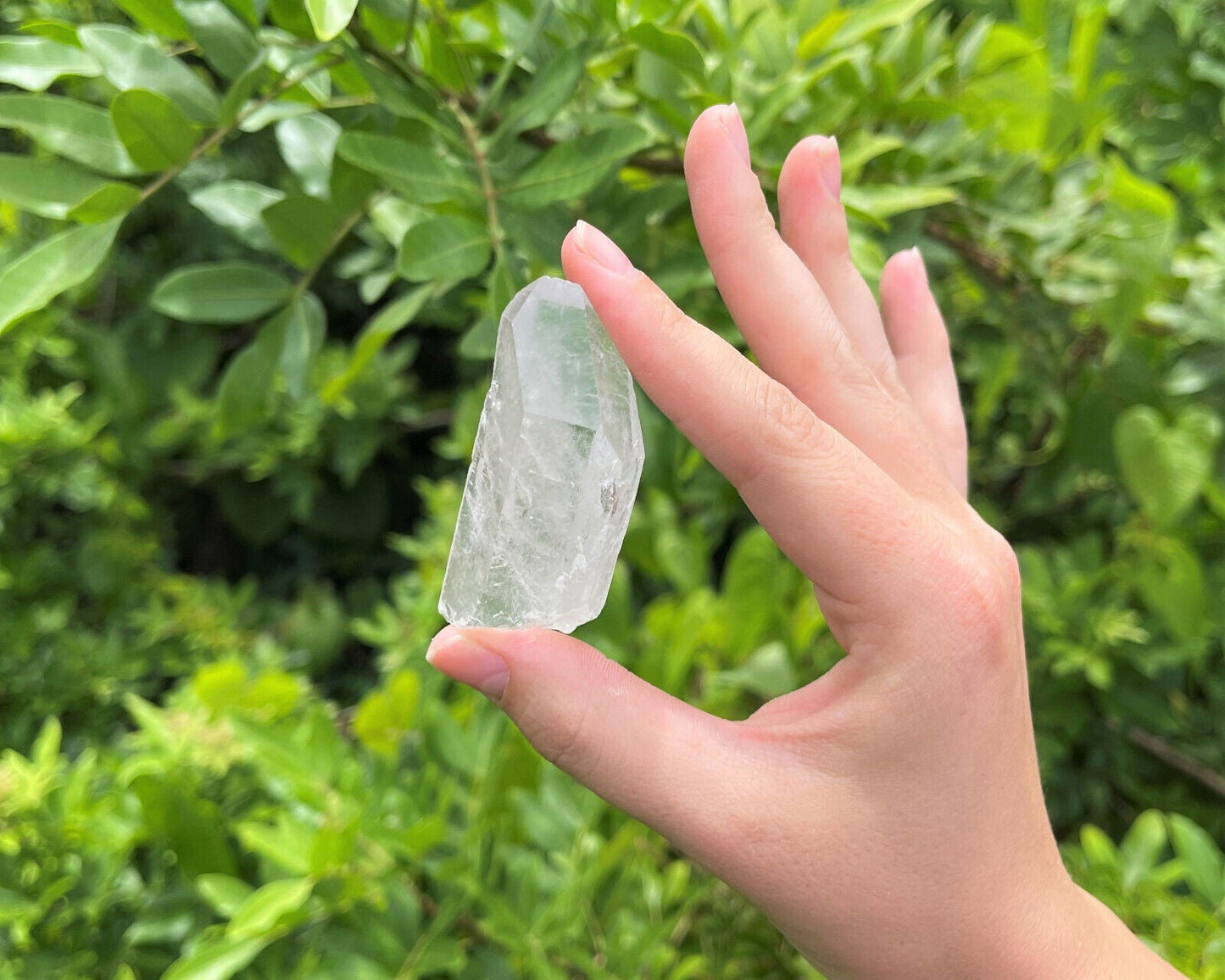 Clear Quartz Crystal Point (2" - 3") Natural Wand Specimen, Reiki Healing