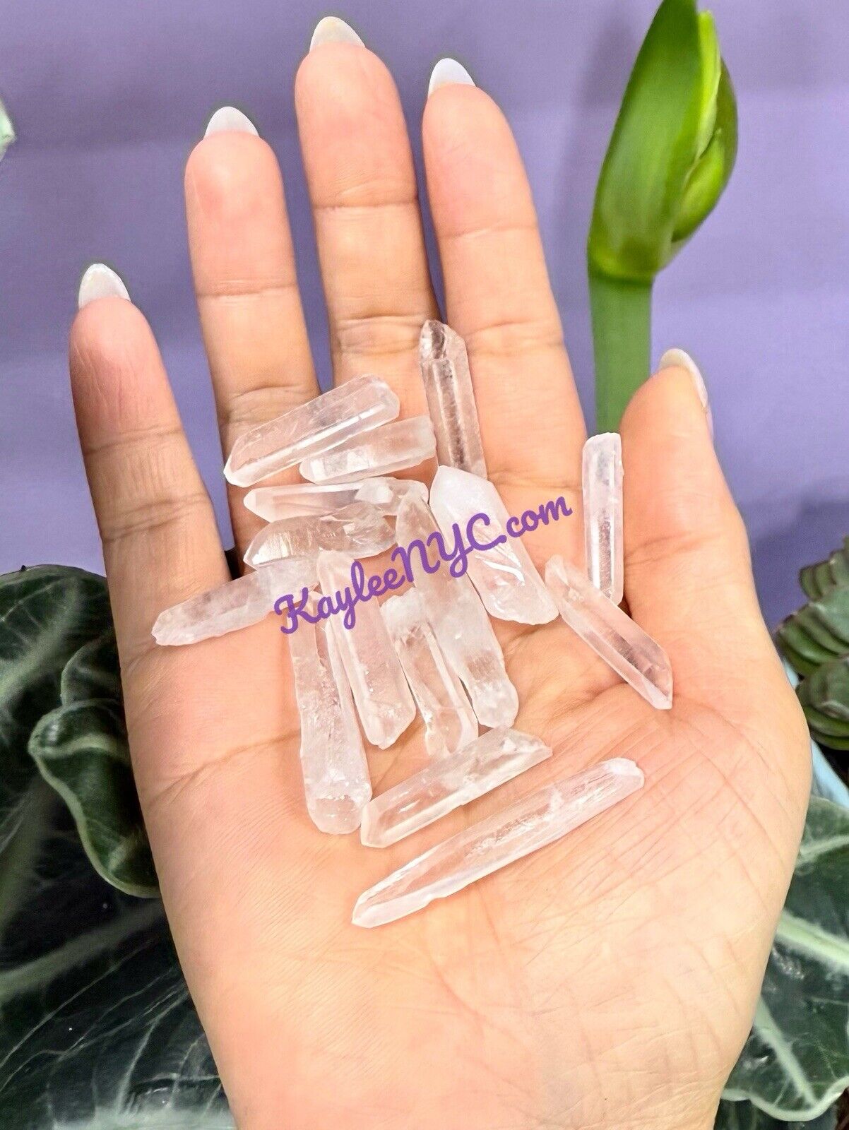 Wholesale Lot 1 Lb Natural Lemurian Quartz Wand Raw Crystal Nice Quality