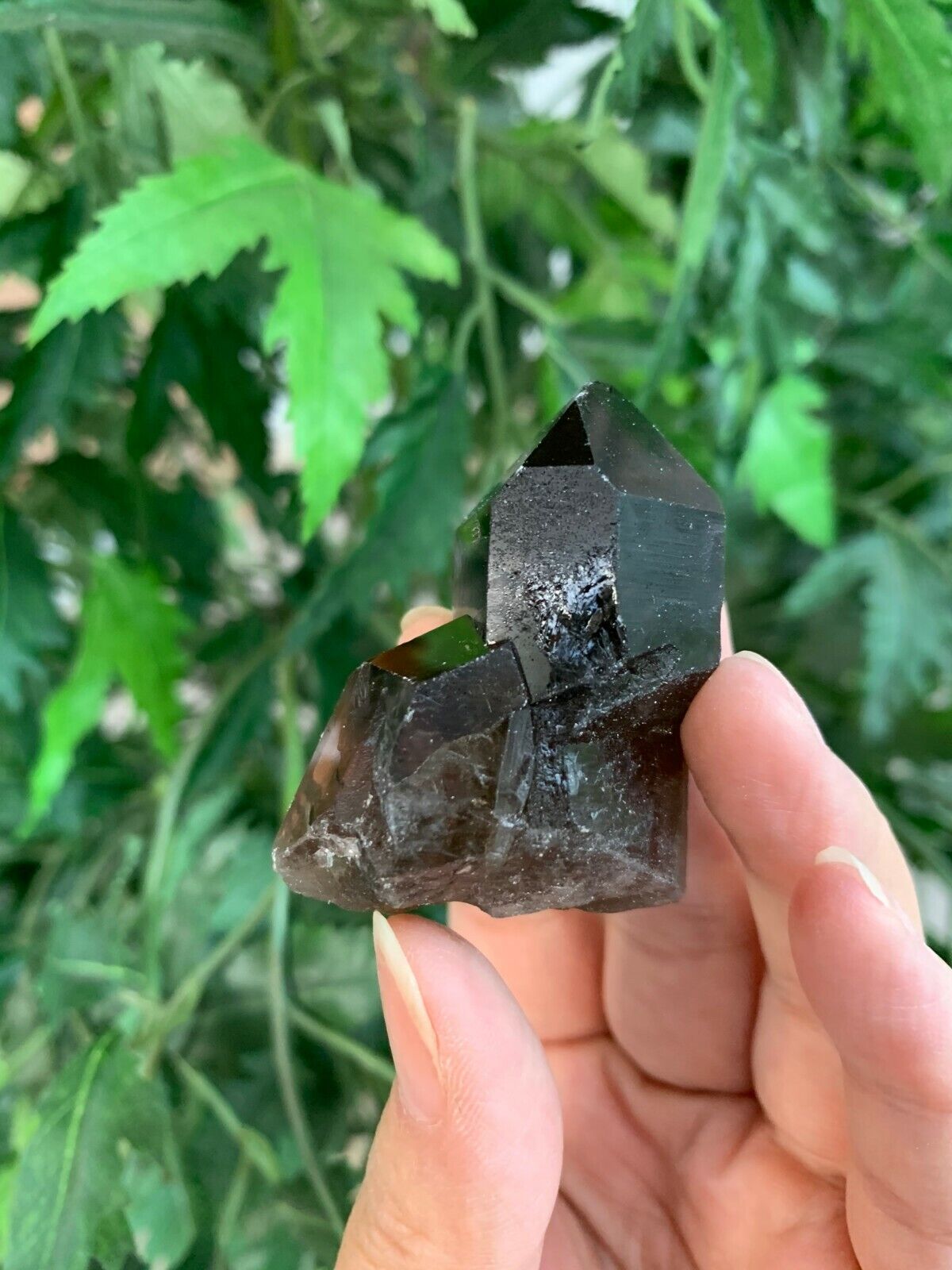 Natural Smoky Quartz Crystal Points, Raw Smoky Quartz Point, Wholesale Bulk Lot