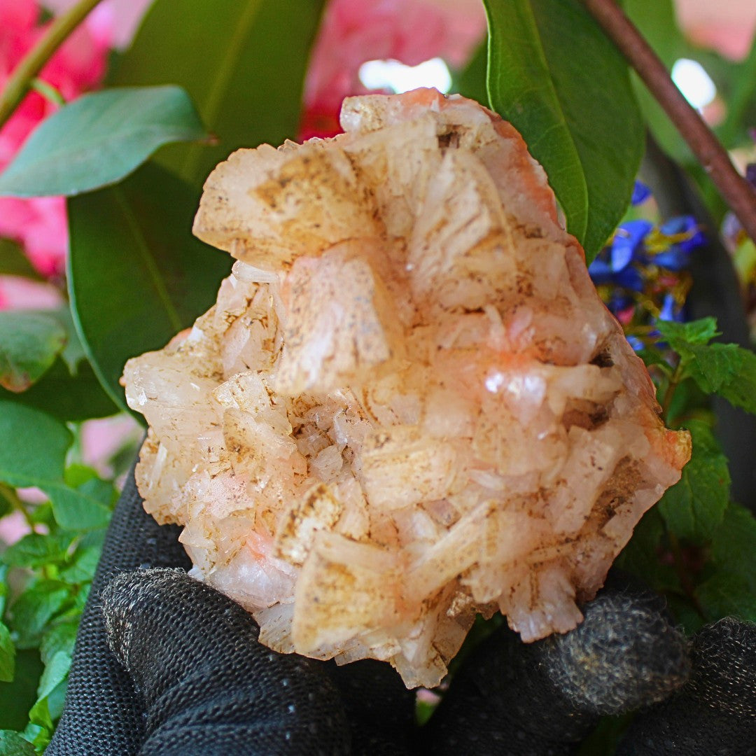 220g Natural Orange Stilbite with Heulandite Mineral Crystal Cluster from India