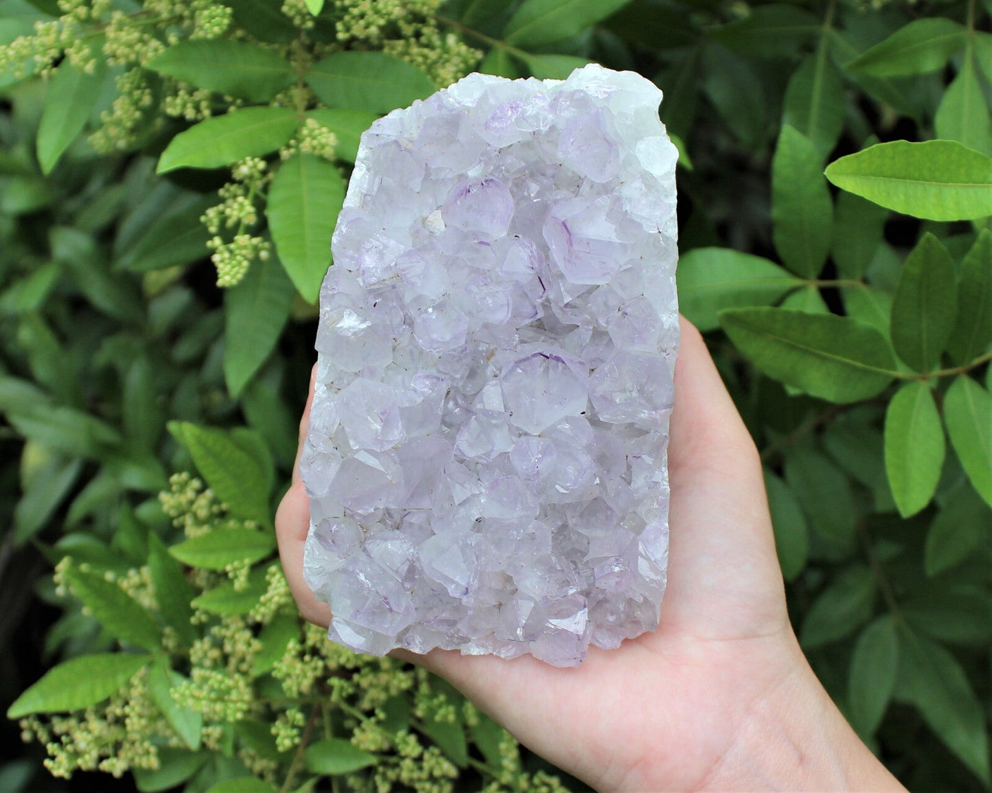 CRAZY CHEAP Gray Lavender Amethyst Cut Base Crystal Geodes - Closeout Amethyst