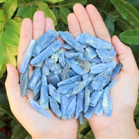 Blue Kyanite Blades Crystal Collection 1/2 lb Box Lot - Natural Kyanite Crystals