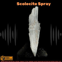 Rare 14g Scolecite Spray Crystal Specimen 8x2x1 cm Zeolite Mineral India